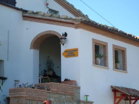 IMG_0228 IMG_0228